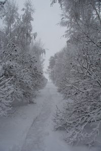  Зимняя Ивановка